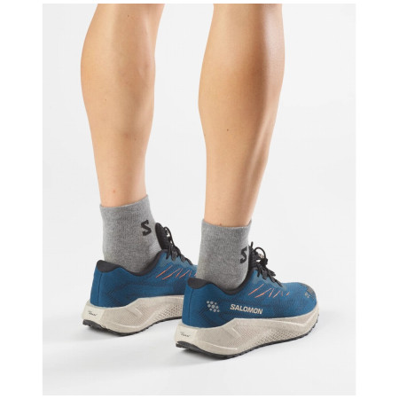 Herrenschuhe Salomon Aero Blaze 4 Grvl