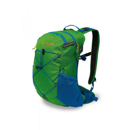 Rucksack Pinguin Ride 19 (2019) grün