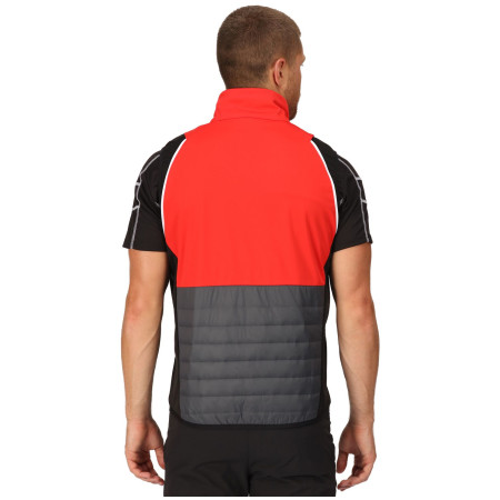 Herrenjacke Regatta Steren Hybrid