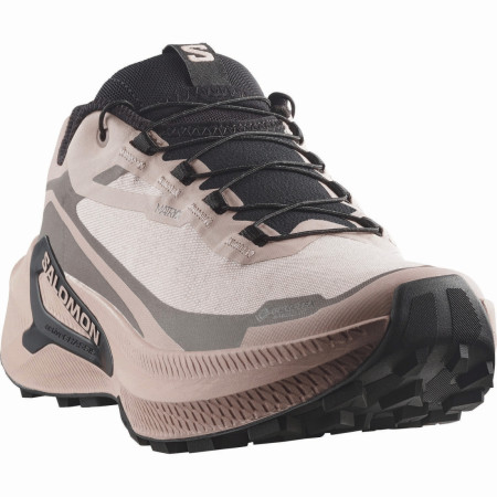 Damen Laufschuhe Salomon Genesis 2 Gtx W
