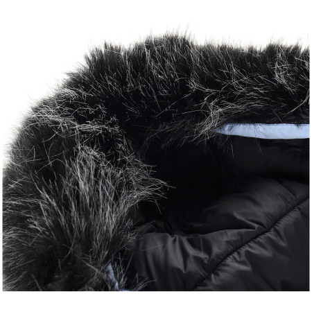 Damen-Winterjacke Alpine Pro Werda 2