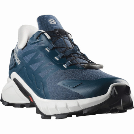 Herren Laufschuhe Salomon Supercross 4 Gore-Tex