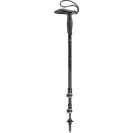 Trekkinstock Leki Legend Series schwarz naturalcarbon-black-copper