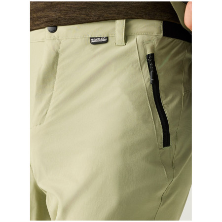 Herrenhose Regatta Anti-Insect Travel Light Z/O Trousers