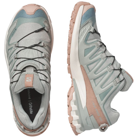 Damenschuhe Salomon Xa Pro 3D V9 Gore-Tex Lifelong