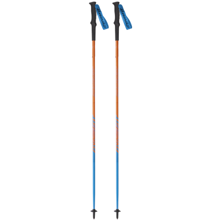 Nordic Walking Stöcke Dynafit Vertical Pole