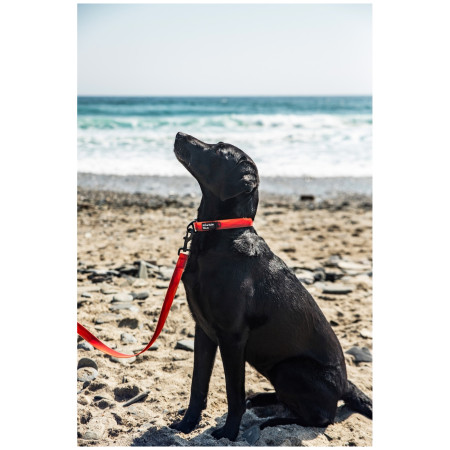 Hundehalsband Mountain Paws Waterproof Dog Collar