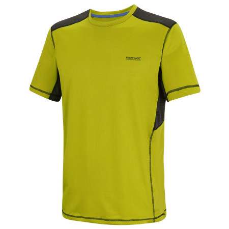 Herren-T-Shirt Regatta Virda