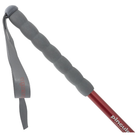 Trekkingstöcke Pinguin Fastrail TL Foam