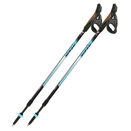 Stöcke Fizan NW Speed