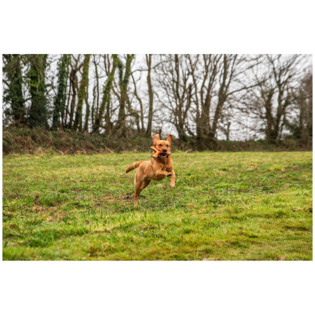 Hundespielzeug Mountain Paws Rubber Throw Dog Toy