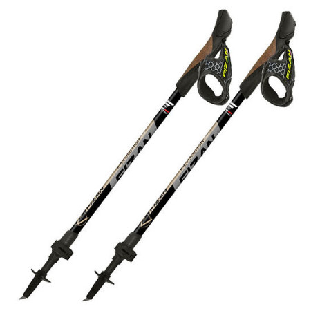Nordic Walking Stöcke Fizan R-Evolution Pro grau Grey/Beige