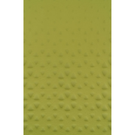 Selbstaufblasende Isomatte Sea to Summit Camp Mat Self Inflating Mat L