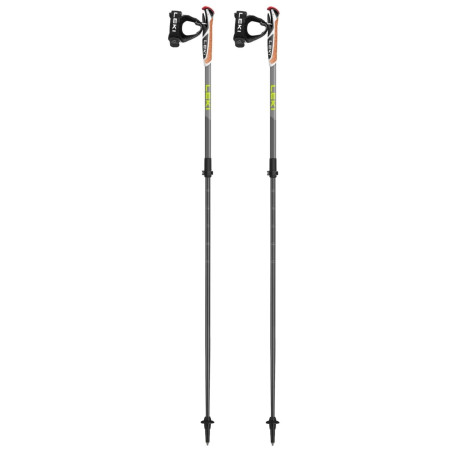 Nordic Walking Stöcke Leki Spin Shark SL