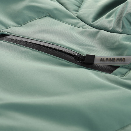 Herrenjacke Alpine Pro Werd