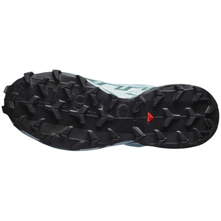 Damenschuhe Salomon Speedcross 6 Gore-Tex