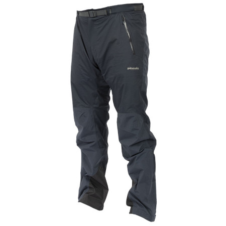 Hose Pinguin Alpin S Pants 5.0 grau Grey