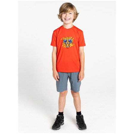 Kinder-T-Shirt Dare 2b Amuse II Tee