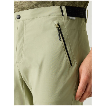 Herrenhose Regatta Mountain Z/O Trousers