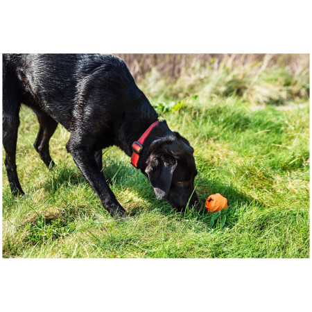 Hundespielzeug Mountain Paws Dog Wave Treat Ball Dispenser