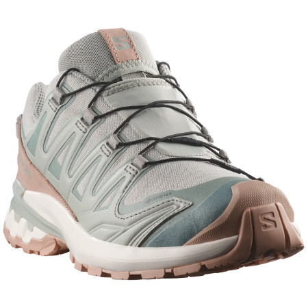 Damenschuhe Salomon Xa Pro 3D V9 Gore-Tex Lifelong