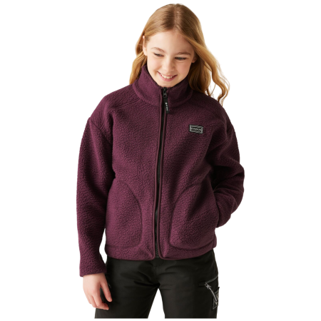 Kinder-Funktions-Sweatshirt Dare 2b Zesty II Fleece
