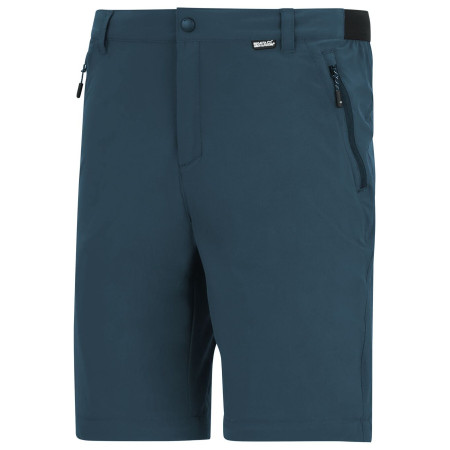Herrenhose Regatta Anti-Insect Travel Light Z/O Trousers