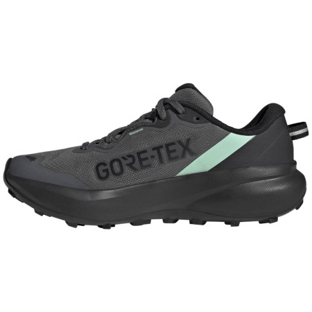 Damen Laufschuhe Adidas Terrex Tracefinder Plus Gtx