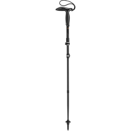 Trekkinstock Leki Legend Series Micro schwarz naturalcarbon-black-copper