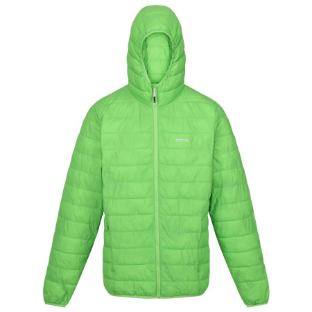 Herren-Winterjacke Regatta Hooded Hillpack hellgrün JasmineGreen
