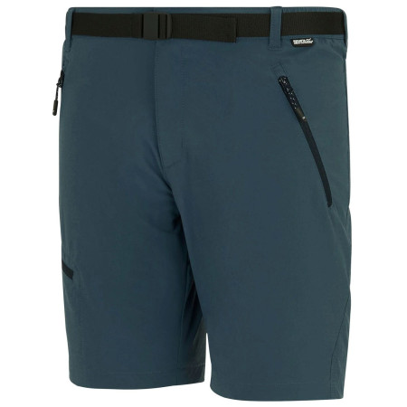 Herrenshorts Regatta Xert Stretch Shorts