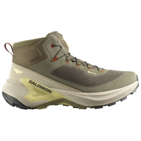 Herrenschuhe Salomon Genesis Mid GTX