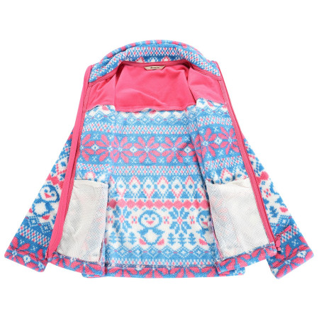 Kinder-Funktions-Sweatshirt Alpine Pro Eflino