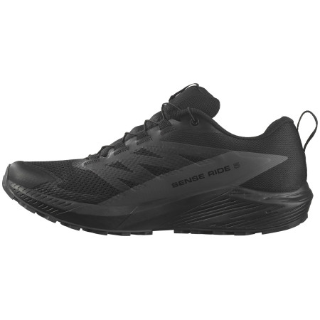 Herren Laufschuhe Salomon Sense Ride 5 Gore-Tex