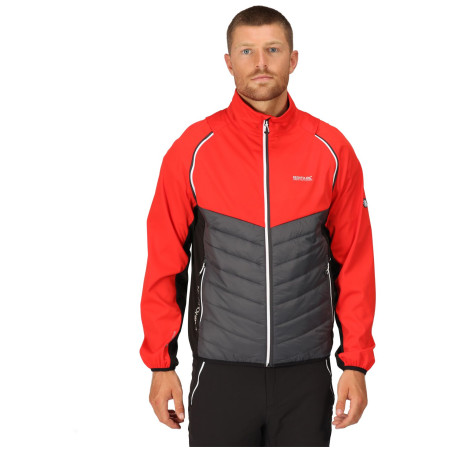 Herrenjacke Regatta Steren Hybrid