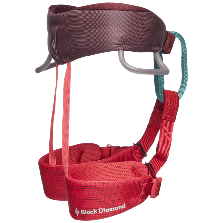 Kinder Klettergurt Black Diamond K Momentum Harness