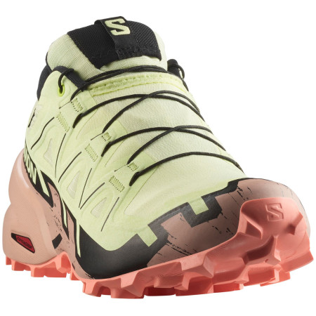 Damenschuhe Salomon Speedcross 6 Gore-Tex