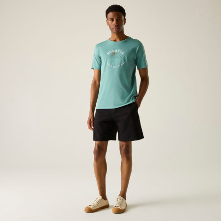 Herren-T-Shirt Regatta Cline IX