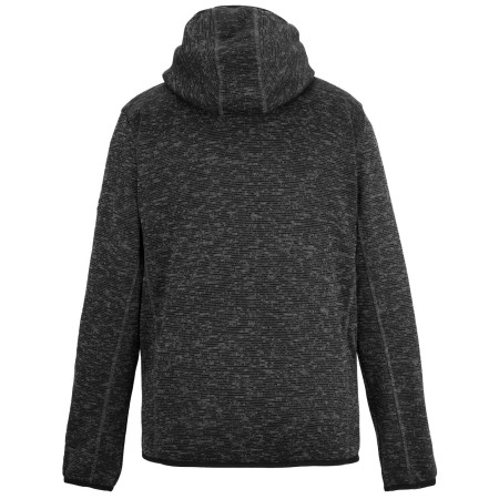 Herren Funktions-Sweatshirt Regatta Hooded Newhill