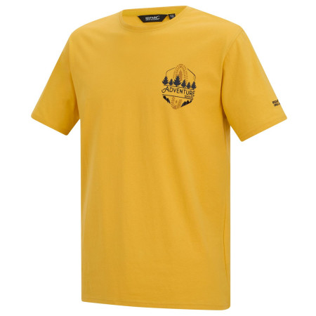 Herren-T-Shirt Regatta Cline IX gelb CeylonYellow