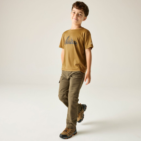 Kinder-T-Shirt Regatta Alvarado Wood Brown