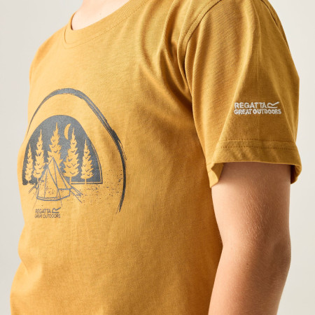 Kinder-T-Shirt Regatta Bosley Wood Brown
