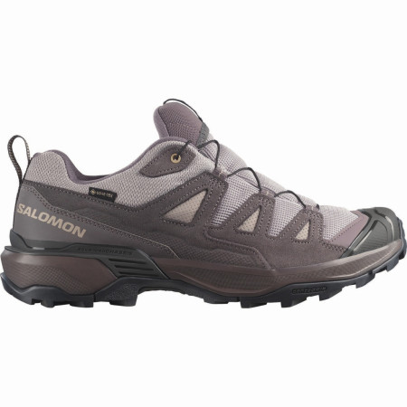 Herrenschuhe Salomon X Ultra 360 Leather Gore-Tex