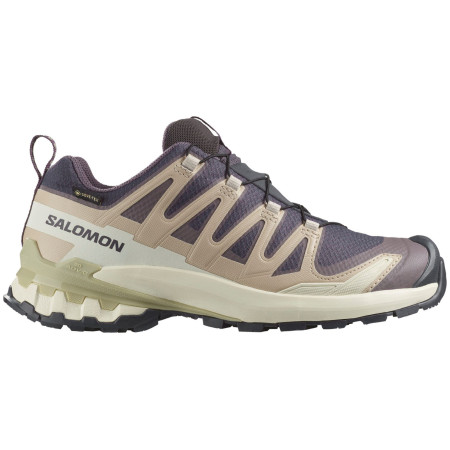 Damen Wanderschuhe Salomon Xa Pro 3D V9 Gore-Tex beige Nine Iron / Oxford Tan / Alfalfa