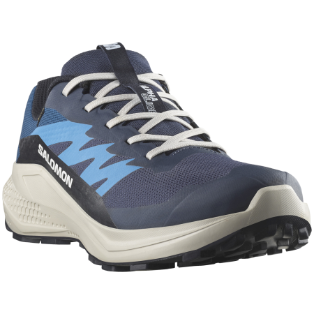 Herren Laufschuhe Salomon Alphaglide Gore-Tex