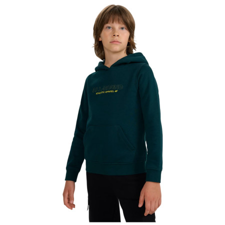 Kinder-Sweatshirt 4F Sweatshirt M1959