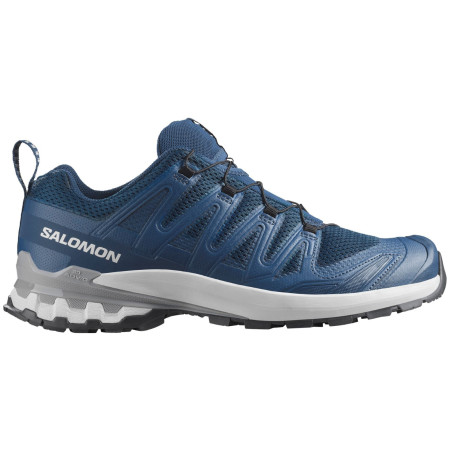 Herrenschuhe Salomon Xa Pro 3D V9