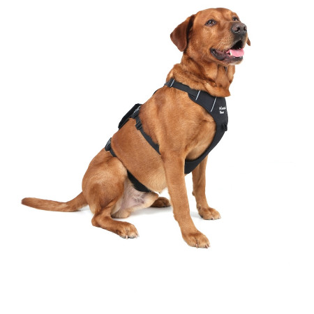 Hundegeschirr Mountain Paws 3-Strap Dog Harness