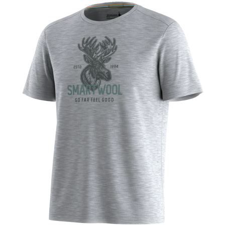 Herren-Funktionsshirt Smartwool Men's Moose Mode Active Short Sleeve Gra grau