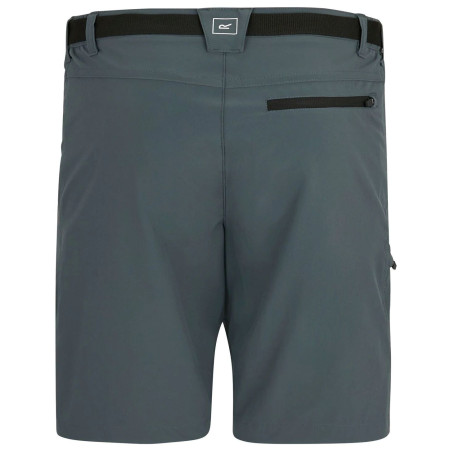 Herrenshorts Regatta Xert Stretch Shorts